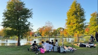 打造城市最詩意風景線！秋冬美景正盛！后里、南屯、太平落羽松接力轉色。